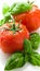 Vibrant organic tomatoes and aromatic basil set for mediterranean salad, evoking freshness