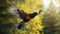 Vibrant Oriole Bird Flying In Stunning Forest Scene