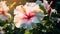 A vibrant outdoor scene featuring a cluster of large white flowers basking in the sun