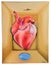 Vibrant painting of a red heart held within a wooden box, with a delicate butterfly perched atop it