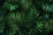 Vibrant Palm leaves tropical plants. Generate Ai