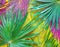 Vibrant palm leaves from the tropics are painted in brilliant colors to create a vibrant tropical background.