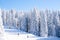 Vibrant panorama of the slope at ski resort Kopaonik, Serbia, people skiing, snow trees, blue sky