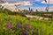 Vibrant Panoramic Edmonton Summer Skyline