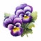 Vibrant Pansy Clipart: Realistic Portrait Style Illustrations