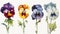 Vibrant Pansy Collection on White Background for Contemporary Designs.