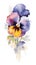 Vibrant Pansy Collection on White Background in Contemporary Watercolor Style .