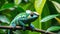 A vibrant panther chameleon blending into the lush tropical foliage in the rainforest