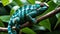 A vibrant panther chameleon blending into the lush tropical foliage in the rainforest