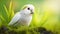 Vibrant Paradise: A Stunning White Parrot in Lush Green Grass. Generative AI