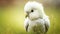 Vibrant Paradise: A Stunning White Parrot in Lush Green Grass. Generative AI