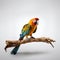 Vibrant parrot on branch.