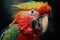 Vibrant Parrot exotic portrait. Generate Ai
