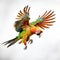 Vibrant Parrot Flying: A Captivating Image By Renowned Photographers