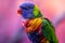 A vibrant parrot sitting against a soft purple background