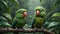 Vibrant Parrots Amidst Rainy Forest