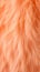 Vibrant Peach fur texture. Fashionable trendy color. Dyed animal fur. Concept of Softness, Comfort and Luxury. Can be