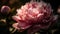 Vibrant peony bouquet showcases elegance and beauty in nature generated by AI
