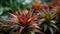 Vibrant pineapple blossom spikes in tropical forest generated by AI