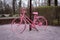 Vibrant pink bicycle propped against a wooden pole in a lush garden