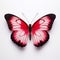 Vibrant Pink Butterfly On White Background: Olivier Valsecchi Style