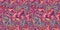 Vibrant pink distortion border. Bright colorful kitsch banner for fluid flow design. Marbled endpaper in vivid pink