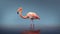 Vibrant Pink Flamingo Walking In Water - Realistic Vray Tracing Render