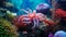 Vibrant Pink And White Octopus In Naturalistic Aquarium