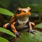 Vibrant Poison Frog: Exploring Nature\\\'s Colorful Amphibians Generated by AI