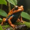Vibrant Poison Frog: Exploring Nature\\\'s Colorful Amphibians Generated by AI
