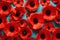 Vibrant Poppy Flowers Pattern Background AI Generated