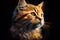 A vibrant portrait of an orange cat against a dark background, capturing its curious and playful personality, generative