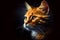 A vibrant portrait of an orange cat against a dark background, capturing its curious and playful personality, generative