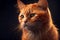 A vibrant portrait of an orange cat against a dark background, capturing its curious and playful personality, generative