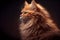 A vibrant portrait of an orange cat against a dark background, capturing its curious and playful personality, generative