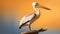 Vibrant Portraiture: Stunning Pelican Perched On Tree Branch