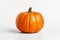 Vibrant pumpkin on clean white backdrop for eye catching visuals in ads packaging designs