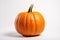 Vibrant pumpkin on white backdrop for eye catching visuals in ads and packaging designs