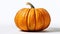 Vibrant Pumpkin on White Background AI Generated