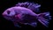 Vibrant Purple Fish In Bold Chromaticity: Ocean Academia Artwork