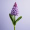 Vibrant Purple Hyacinth Sculpted In Zbrush For Florist Shop