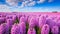 Vibrant Purple Lavender Field with Blooming Flowers generated by AI tool