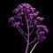 Vibrant Purple Plant In Viennese Secession Style On Monochromatic Background