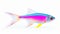 Vibrant Rainbow Fish: Sketchfab Style Uhd Image On White Background