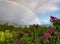 Vibrant Rainbow Over Ocean Kauai, Hawaii