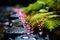 Vibrant Raindrops on Mossy Stone Path: Capturing Natures Shimmer