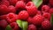 Vibrant raspberries in a captivating still life studio on white backdrop