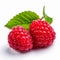 Vibrant Raspberry Fruit Still-life In Larme Kei Style