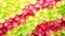 Vibrant Raspberry and Lime Geometric Mosaic Modern Design