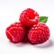Vibrant Raspberry Still Life: Soft Focus Lens Photography In Bold Colors
